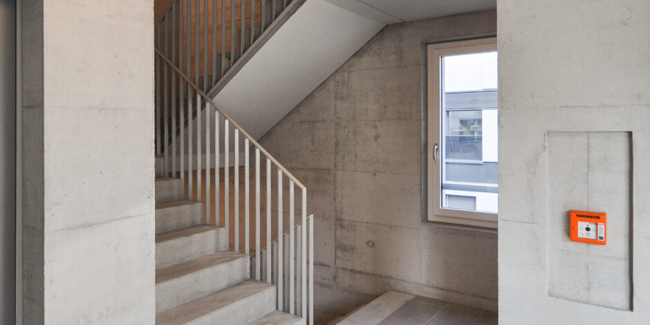 Wohnhaus BellWü in Hochdorf