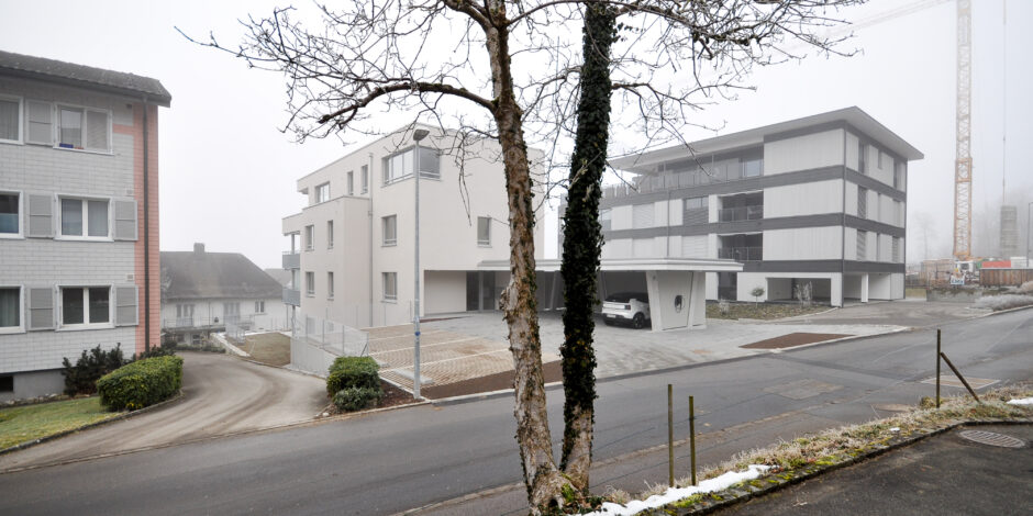 Wohnhaus BellWü in Hochdorf