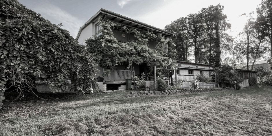 Ersatzbau Zöpfli, Eich