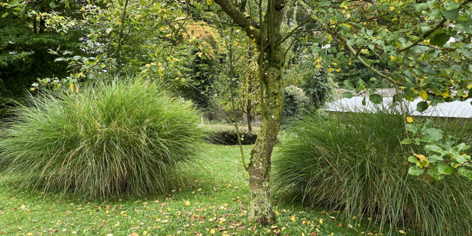 Ersatzbau Zöpfli, Eich